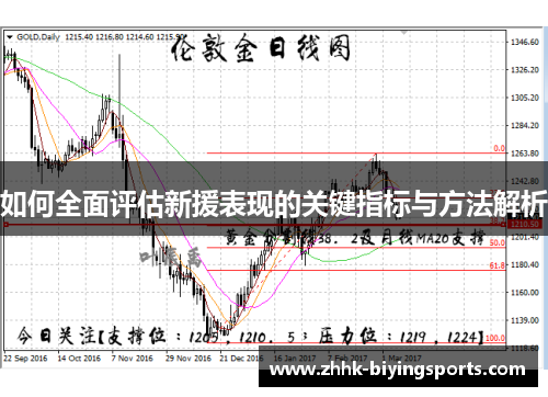 如何全面评估新援表现的关键指标与方法解析