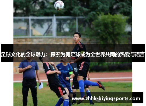 足球文化的全球魅力：探索为何足球成为全世界共同的热爱与语言